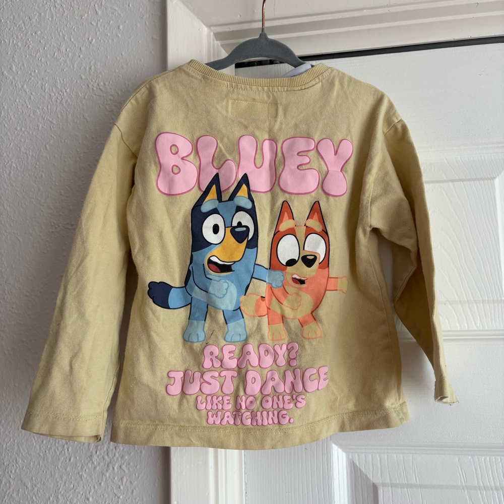 Zara kids BLUEY long sleeve shirt